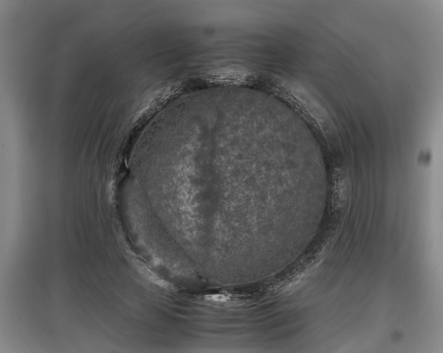 X0000097480641200802291359