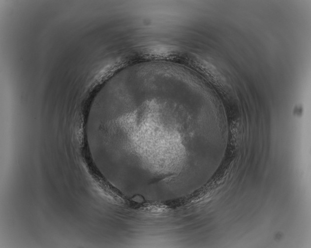 X0000097480642200802291359