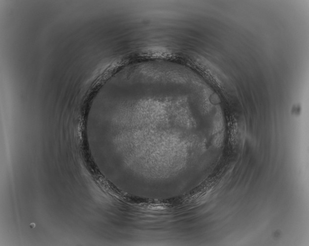 X0000097480643200802291359