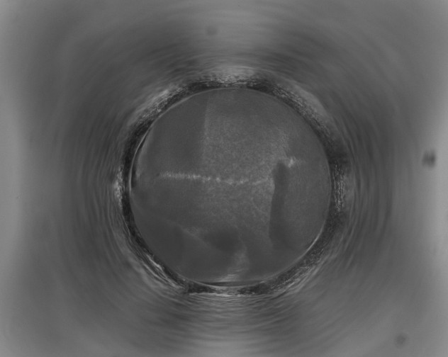 X0000097480644200802291359