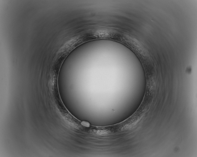 X0000097480645200802291359