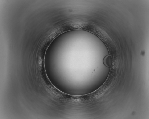 X0000097480646200802291359