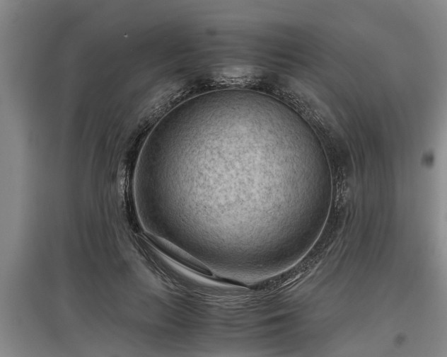 X0000097480647200802291359