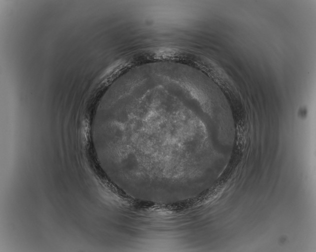 X0000097480648200802291359