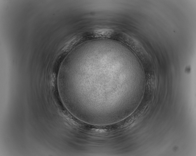 X0000097480649200802291359