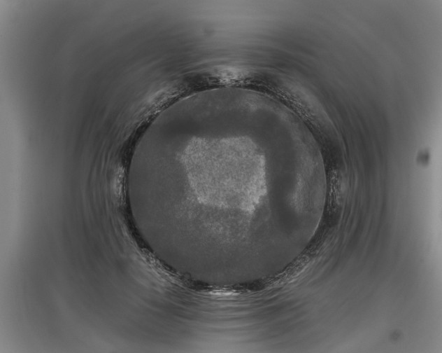 X0000097480650200802291359