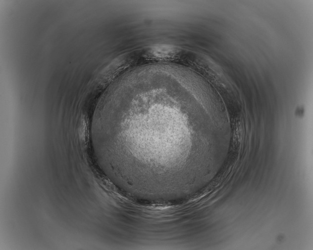 X0000097480651200802291359