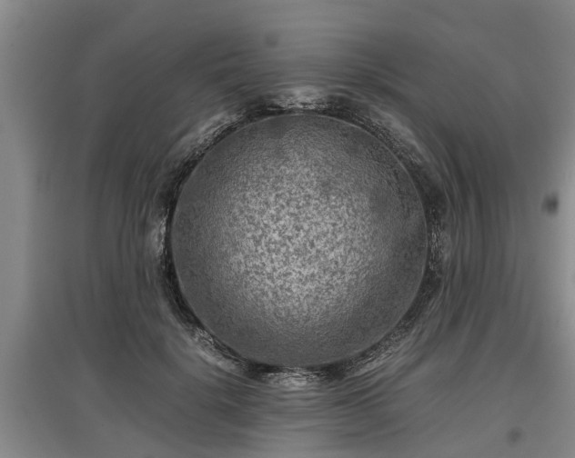 X0000097480652200802291359