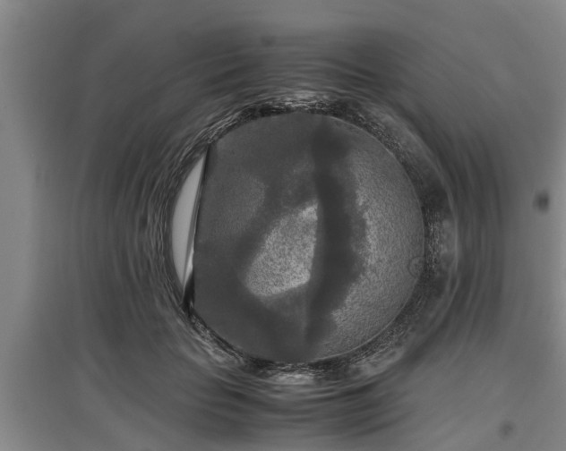 X0000097480653200802291359