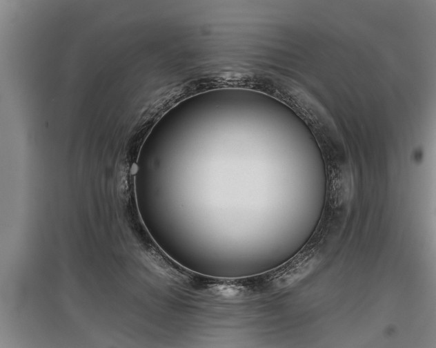 X0000097480654200802291359