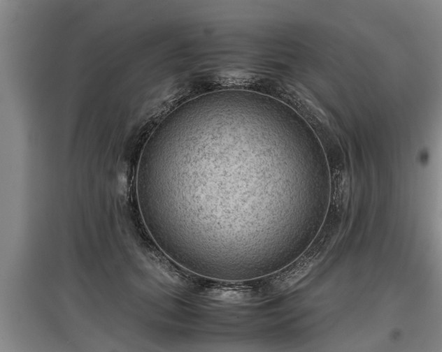 X0000097480655200802291359