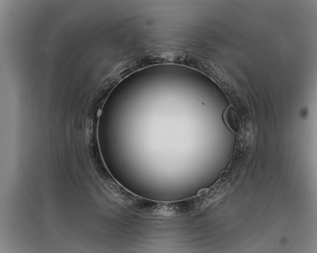 X0000097480656200802291359