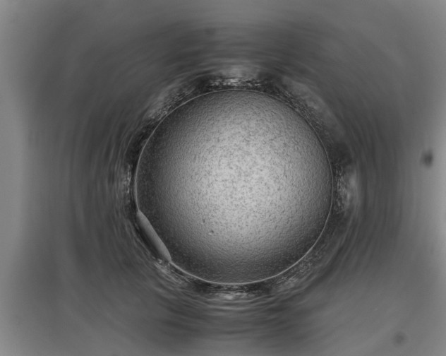 X0000097480657200802291359