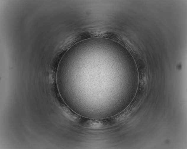 X0000097480658200802291359