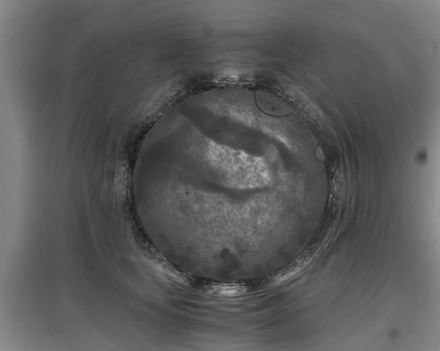 X0000097480659200802291359