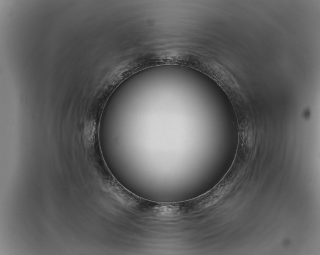 X0000097480660200802291359