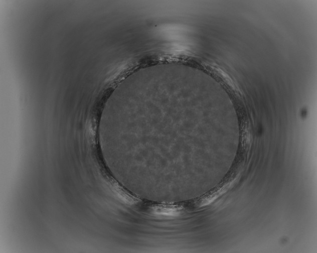 X0000097480661200802291359