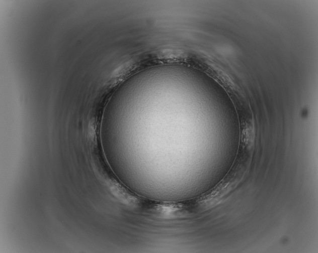 X0000097480662200802291359