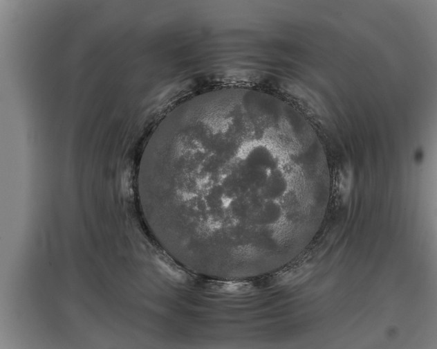 X0000097480663200802291359