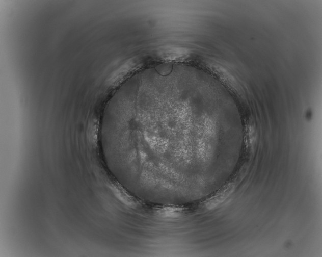 X0000097480664200802291359