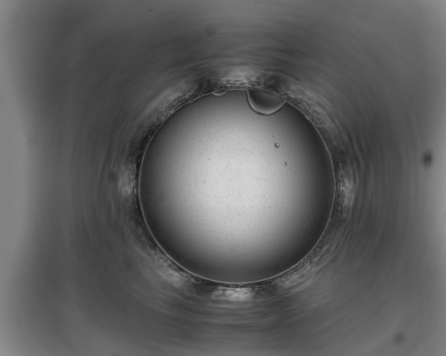 X0000097480665200802291359