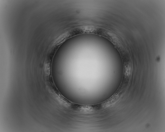 X0000097480666200802291359