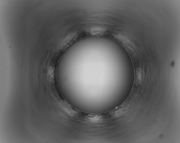 X0000097480667200802291359