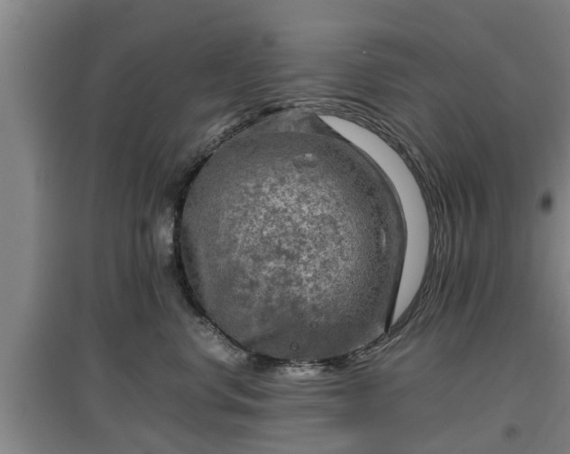 X0000097480668200802291359