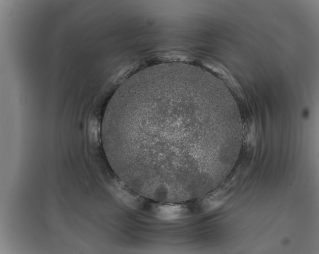 X0000097480669200802291359