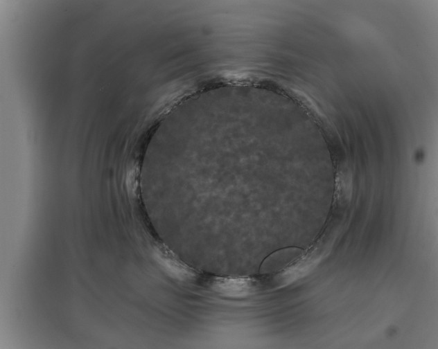 X0000097480671200802291359