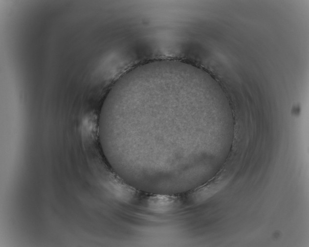 X0000097480672200802291359