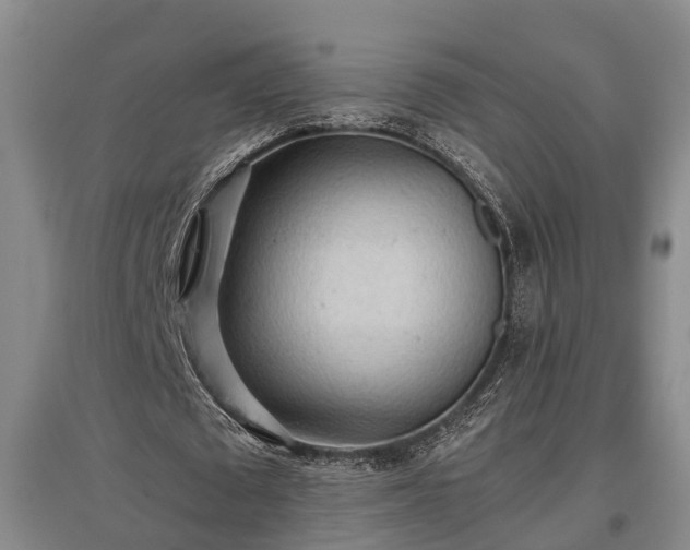 X0000097480673200802291359