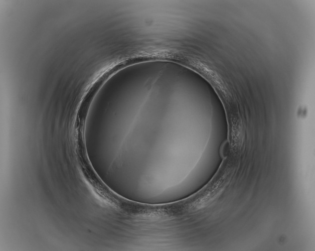 X0000097480674200802291359