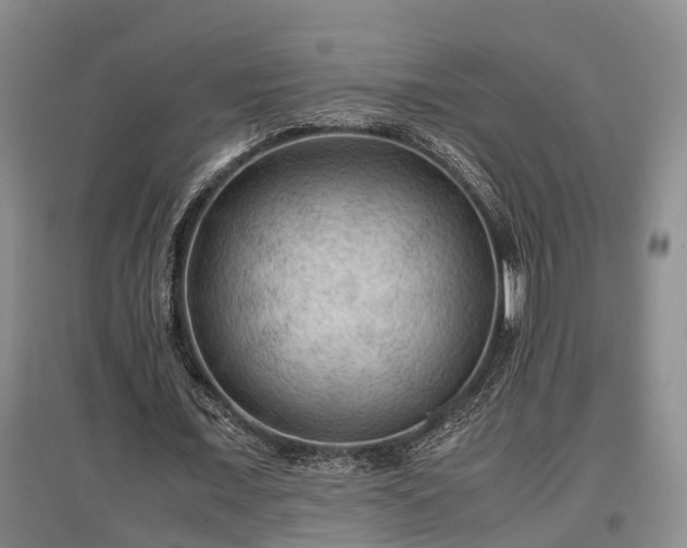 X0000097480675200802291359