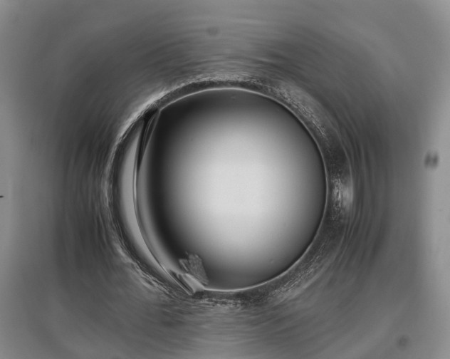 X0000097480676200802291359