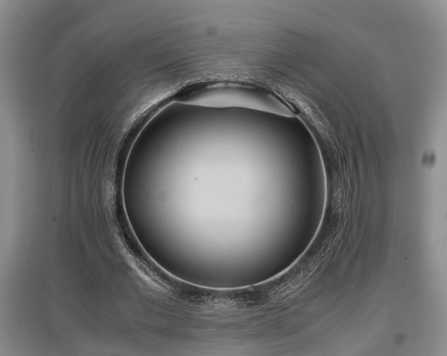 X0000097480677200802291358