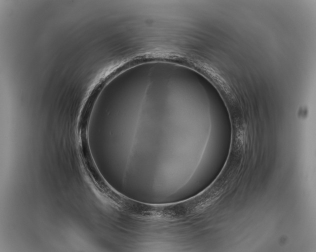 X0000097480678200802291358