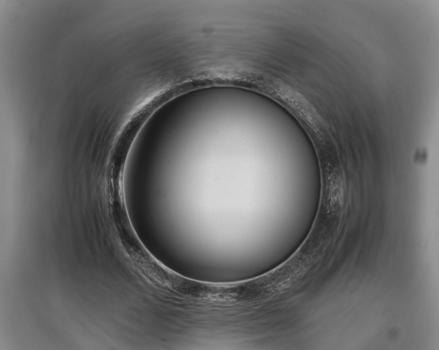 X0000097480680200802291358