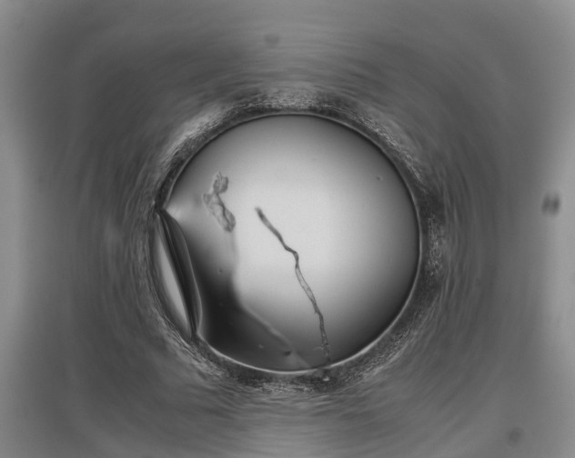 X0000097480681200802291358