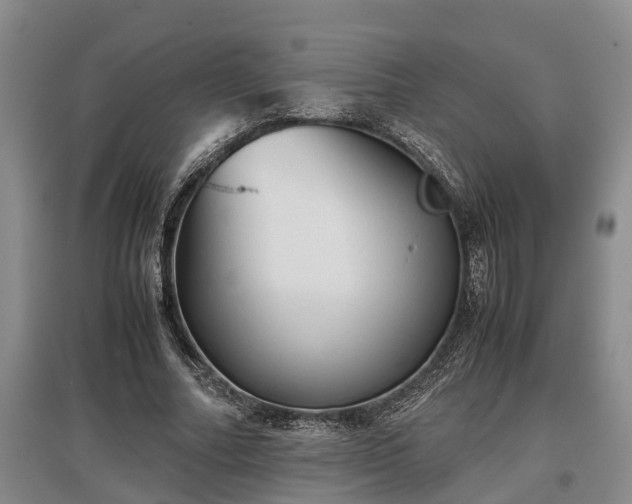 X0000097480682200802291358