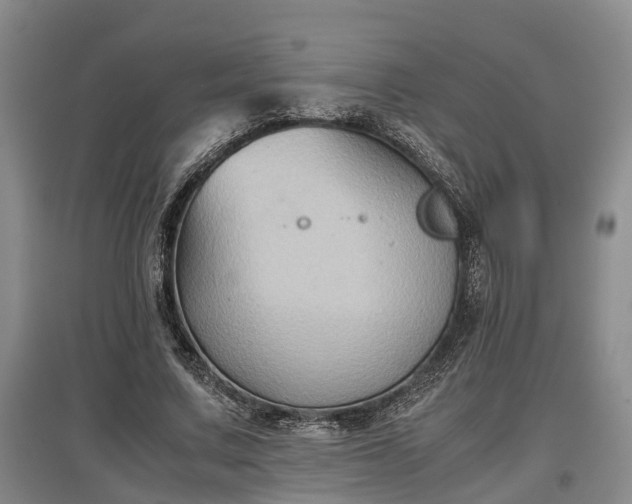 X0000097480683200802291358