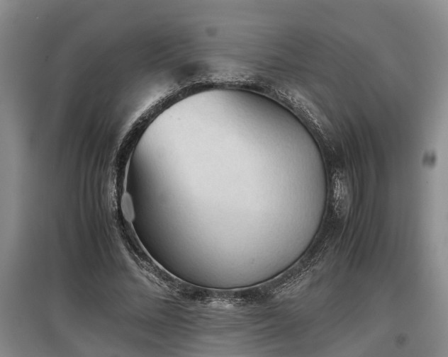 X0000097480684200802291358