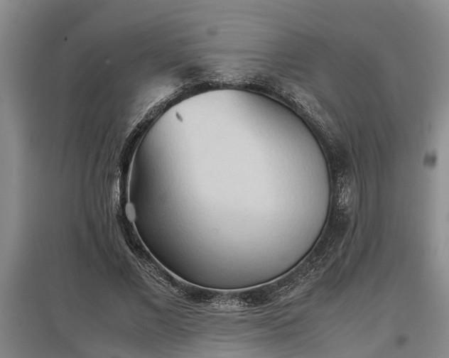 X0000097480685200802291358