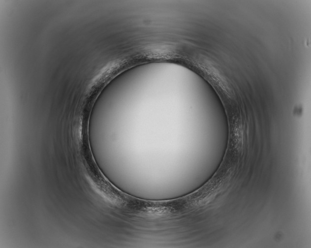 X0000097480686200802291358