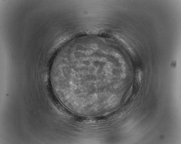 X0000097480687200802291358