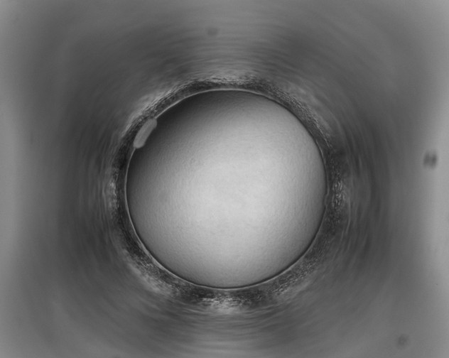 X0000097480688200802291358