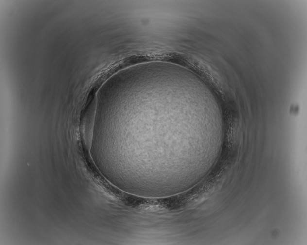 X0000097480689200802291358