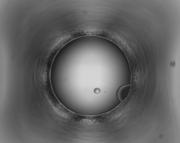 X0000097480690200802291358