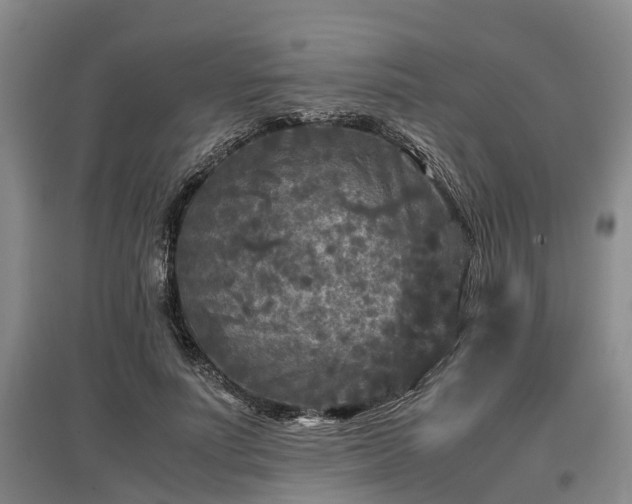 X0000097480691200802291358