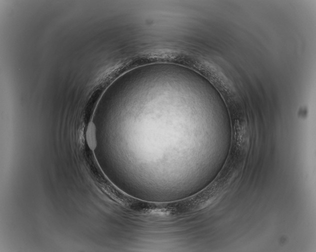 X0000097480692200802291358